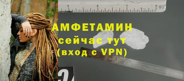 гидра Арсеньев
