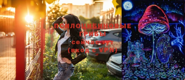 гидра Арсеньев